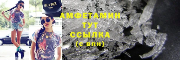 крисы Корсаков