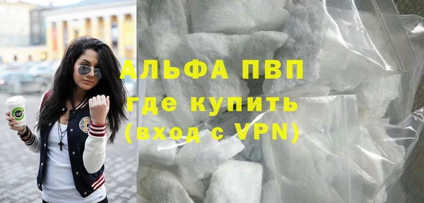 ПСИЛОЦИБИНОВЫЕ ГРИБЫ Карпинск