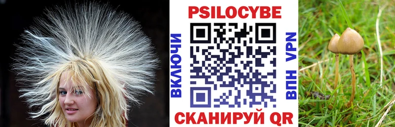 Псилоцибиновые грибы мицелий  Давлеканово 